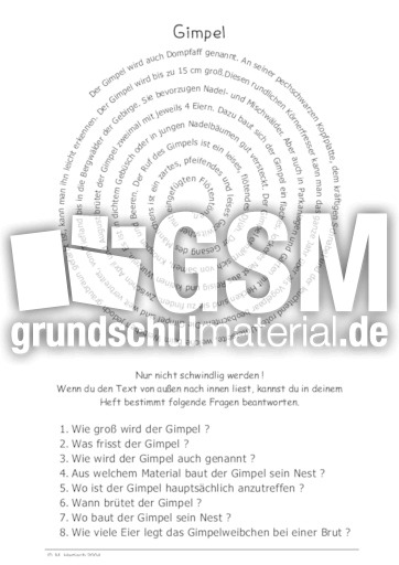 Gimpel.pdf